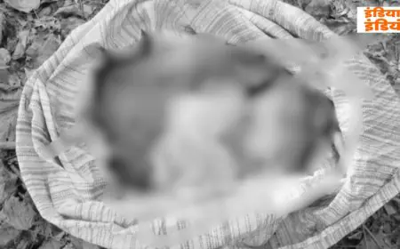 Singhbhum Murder: कोतरोगढ़ा में बोरे में बंद मिला कटा हुआ धड़, बुजुर्ग की निर्मम हत्या से दहशत