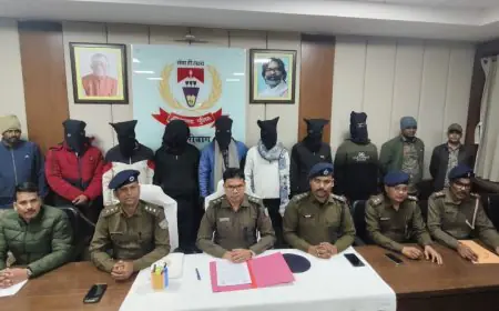 Hazaribagh Arrest: पांडेय गिरोह के 7 खतरनाक अपराधी दबोचे, जंगल में बड़ी वारदात की खूनी साजिश विफल