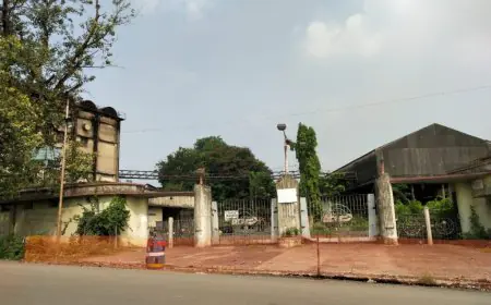 Jamshedpur Cable Takeover : वेदांता का कब्जा, एनसीएलटी का अंतिम फैसला, केबुल टाउनशिप की जमीन पर दावा पड़ेगा भारी