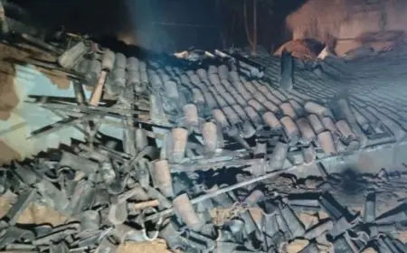 Dhanbad Terror: आधी रात दीवार तोड़कर घर में घुसे हाथी, तीन बेटियों ने भागकर बचाई जान, टुंडी में बड़ा विनाश