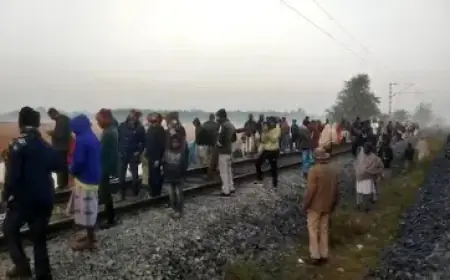 Assam Tragedy: राजधानी बेपटरी, 8 हाथियों की दर्दनाक मौत, अंधेरे में हुई भीषण टक्कर ने मचाई तबाही