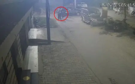 Golmuri Theft: लग्जरी कार, गायों की सफाई से तस्करी, जमशेदपुर में गौ-तस्करों का नया और खतरनाक ट्रेंड