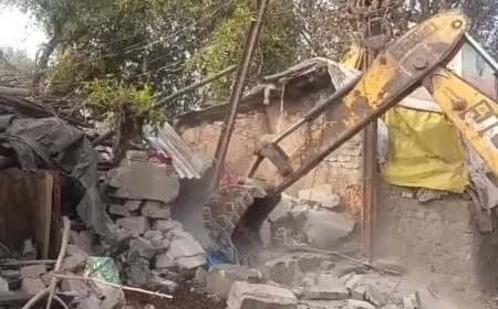 Parsudih Action: बुलडोजर चला, करनडीह से खासमहाल तक अवैध दुकानें ध्वस्त, राष्ट्रपति के आगमन से पहले प्रशासन का रौद्र रूप  जमशेदपुर