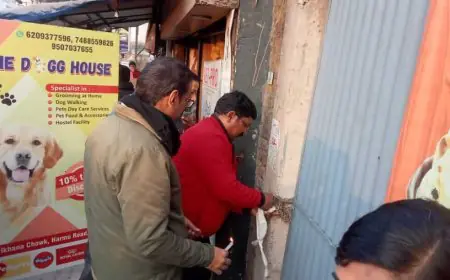 Ranchi Action: दुकान सील, 37 लाख का बकाया डकारने वाले पर नगर निगम का हंटर, अपर बाजार में बुलडोजर सी कार्रवाई