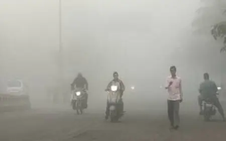 Jharkhand Winter: बर्फीली आफत, 5.4 डिग्री तक लुढ़का पारा, झारखंड के 9 जिलों में कोहरे का खतरनाक येलो अलर्ट