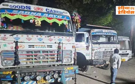 Potka Raid: आधी रात एक्शन, 4 गाड़ियां जब्त, तिरुलडीह से जमशेदपुर आ रहा अवैध खनिज पकड़ाया, प्रशासन की सर्जिकल स्ट्राइक