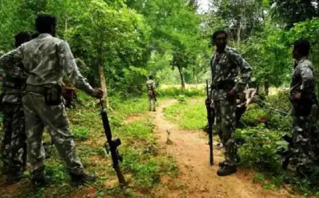 Manoharpur Hunt: सफेद पर्चे, खेतों में हुई मैराथन घेराबंदी, दुर्जन और विमल दबोचे गए, सारंडा के मुहाने पर पुलिस की बड़ी सर्जिकल स्ट्राइक