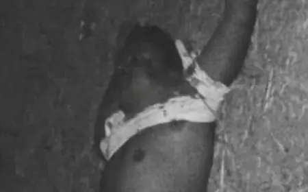 Chandil Gangwar: खूनी खेल, मुर्गा पाड़ा में ताबड़तोड़ फायरिंग, कुख्यात विजय तिर्की ढेर, गोलियों की गूंज से दहला चीलगु