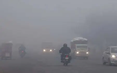 Jharkhand Weather : बर्फीली आफत, कांके में 2.5 डिग्री तक गिरा पारा, झारखंड के 7 जिलों में कड़ाके की शीतलहर