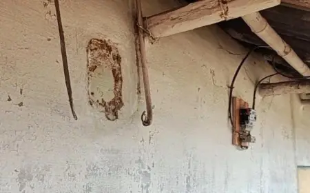 Chakulia Theft: अजीब चोरी, चाकुलिया में दीवारों से बिजली मीटर उखाड़ ले गए चोर, रात भर अंधेरे में रहा आदिवासी टोला