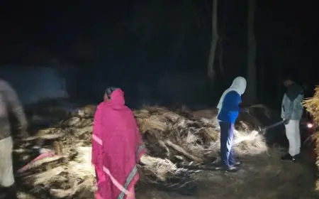 Chakulia Fire: भयानक तबाही, चाकुलिया के जोड़ीसा में पुआल टाल बना आग का गोला, आधी रात को मचा हाहाकार, दमकल ने बचाई बस्ती