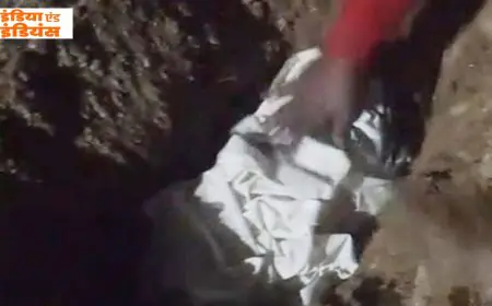 Bagbera Horror: शर्मनाक कांड, जमशेदपुर में कलेजे के टुकड़े को नाले में फेंका, बजरंग टेकरी में मिला एक दिन का नवजात, कातिल की तलाश तेज