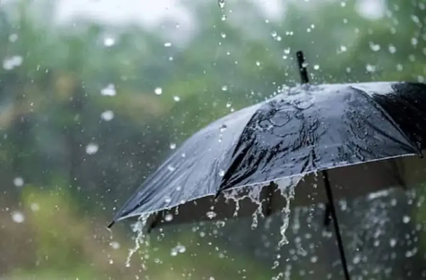 Jharkhand Weather Alert:झारखंड में बारिश के साथ कड़ाके की ठंड शुरू, गुमला में 10 डिग्री तापमान और 4 दिन का पूर्वानुमान
