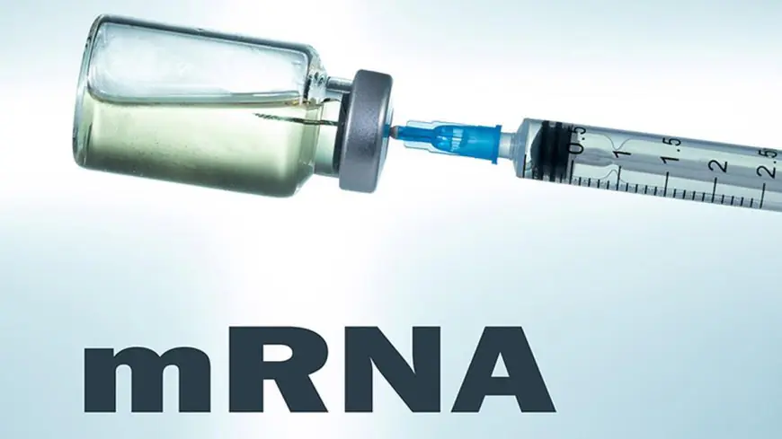 Cancer Vaccine : कैंसर अब इतिहास का हिस्सा बनने वाला है! mRNA 2.0 वैक्सीन ने ट्यूमर को 60% तक खत्म कर दिया – WHO ने घोषित किया Curable Era
