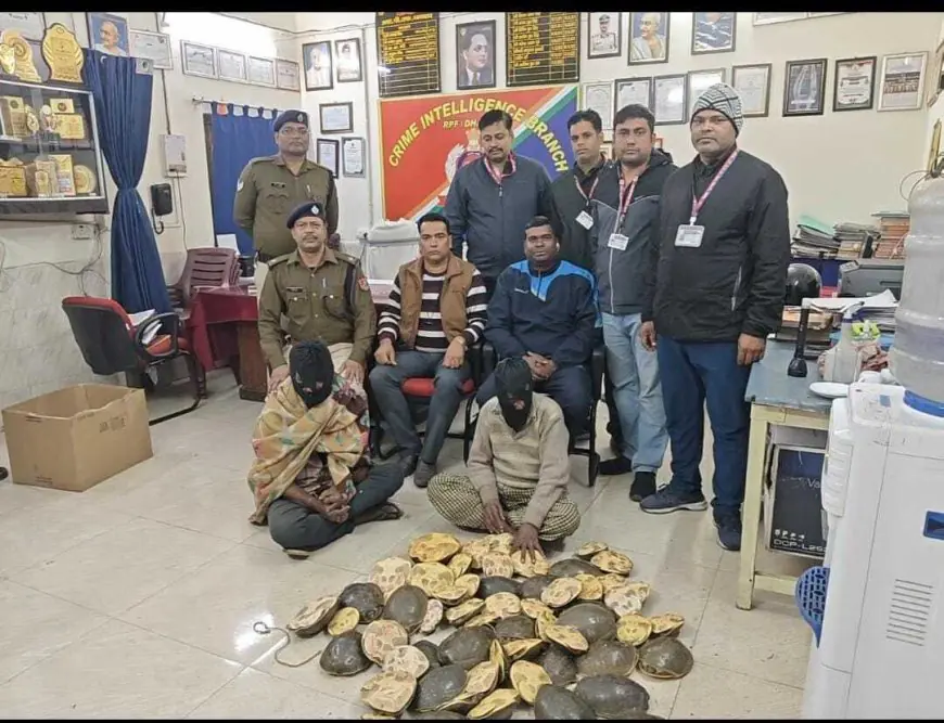 Train Smuggling: ऋषिकेश-हावड़ा एक्सप्रेस से पकड़े गए 60 कछुए, लाखों का गिरोह सक्रिय