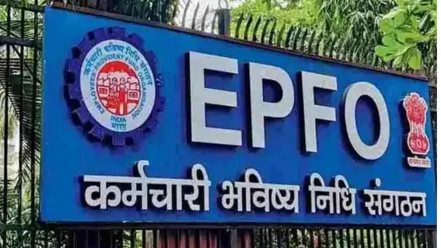 EPFO Alert: सरकारी कर्मचारियों के लिए बड़ी खबर, पीएफ ब्याज दर 8.75% तक बढ़ने की उम्मीद