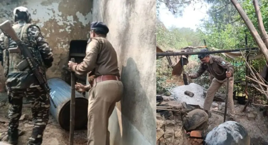 Saraikela Raid: बांसडुंगरी में 50 किलो जावा महुआ नष्ट, अवैध शराब माफिया में दहशत