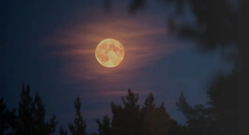 Purnima 2026 Date List : साल 2026 में पड़ेंगे 13 पूर्णिमा व्रत, गंगा स्नान की जानें पूरी तारीख