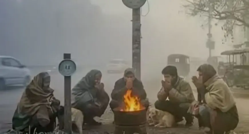 Jharkhand Winter: गुमला ठंडा रहा सबसे ज्यादा, पलामू में घने कोहरे से 300 मीटर तक सिमटी दृश्यता, अगले 5 दिन की चेतावनी
