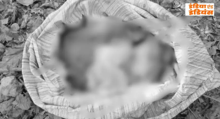 Singhbhum Murder: कोतरोगढ़ा में बोरे में बंद मिला कटा हुआ धड़, बुजुर्ग की निर्मम हत्या से दहशत