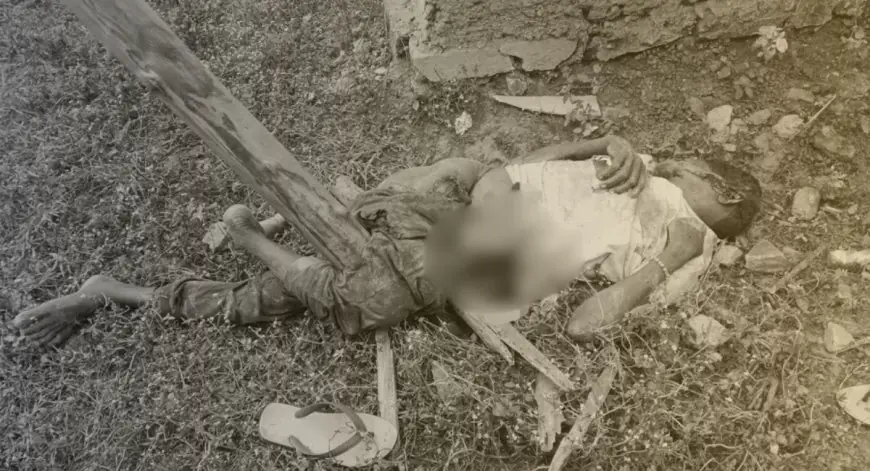 Manoharpur Attack: दंतेला खत्म, सूंड़ में लपेटकर बाहर खींचा और पटककर मार डाला, कोयना जंगल में भारी तबाही रेडदिरी