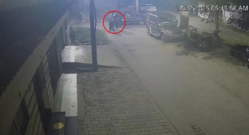 Golmuri Theft: लग्जरी कार, गायों की सफाई से तस्करी, जमशेदपुर में गौ-तस्करों का नया और खतरनाक ट्रेंड