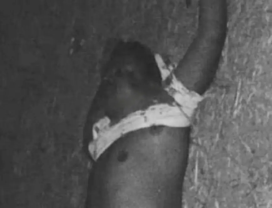 Chandil Gangwar: खूनी खेल, मुर्गा पाड़ा में ताबड़तोड़ फायरिंग, कुख्यात विजय तिर्की ढेर, गोलियों की गूंज से दहला चीलगु