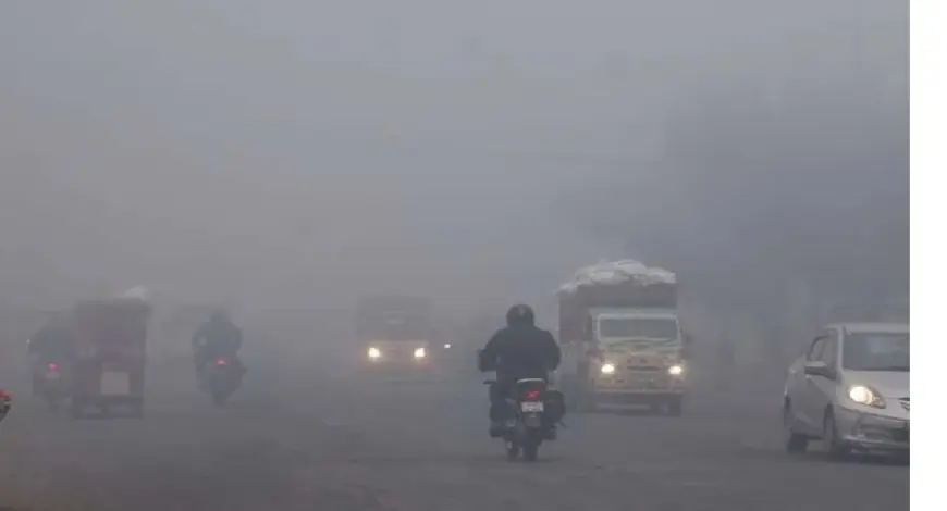 Jharkhand Weather : बर्फीली आफत, कांके में 2.5 डिग्री तक गिरा पारा, झारखंड के 7 जिलों में कड़ाके की शीतलहर