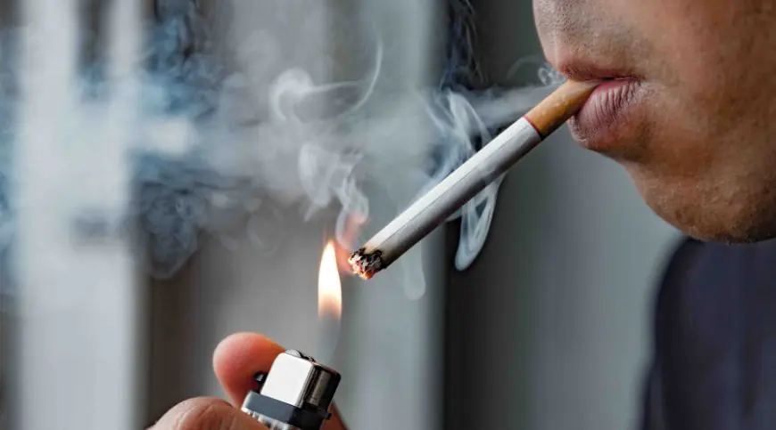 Tobacco Strike: जेब ढीली, अब ₹20 वाली सिगरेट मिलेगी ₹80 में, सरकार का नया टैक्स प्लान तैयार, तंबाकू उत्पादों पर 325% तक महंगाई