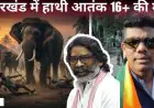 Elephant Terror: खूनी हाथी, चाईबासा में 16 की मौत, नरभक्षी गजराज का कहर, मझगांव-कुमारडुंगी पर मंडराया काल