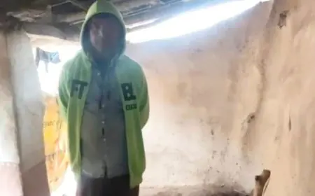 Bodam Theft: साहसी चोरी, बोड़ाम थाने के नाक के नीचे से दुधारू गाय और बछड़े पार, पशुपालकों में भारी दहशत