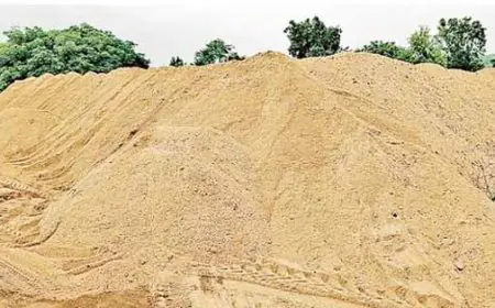 Chakulia Raid: बड़ा एक्शन, चाकुलिया में बालू माफिया का साम्राज्य ध्वस्त, नदी घाट पर पुलिस की सर्जिकल स्ट्राइक