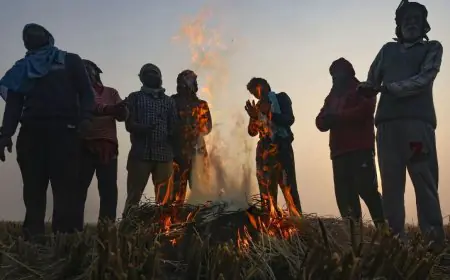Jharkhand Weather : कांपता झारखंड, गुमला बना 'छोटा कश्मीर', पारे में भारी गिरावट, अगले 4 दिनों तक प्रलयकारी ठंड