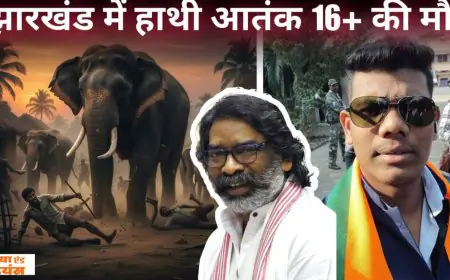 Elephant Terror: खूनी हाथी, चाईबासा में 16 की मौत, नरभक्षी गजराज का कहर, मझगांव-कुमारडुंगी पर मंडराया काल