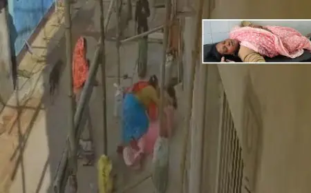 Musabani Violence: खौफनाक हमला, जमशेदपुर में भाजपा नेता ने विधवा को पीटा, सीसीटीवी में कैद हुई जमीन हड़पने की करतूत