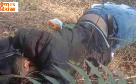 Bodam Accident: रहस्यमयी मौत, बोड़ाम में हेलमेट पहनने के बाद भी युवक का सिर फटा, नाले में मिली लाश और पल्सर बाइक