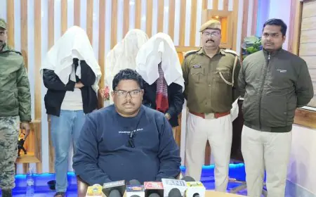 Wildlife Raid: बड़ा खुलासा, साकची में हिरण के सींग और दुर्लभ तोतों का जखीरा जब्त, तीन तस्कर सलाखों के पीछे