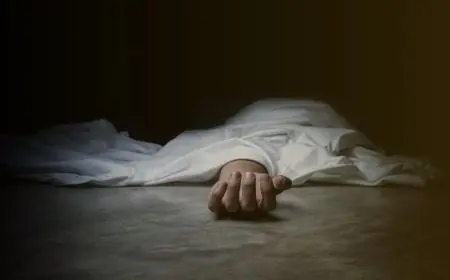 Bodam Tragedy: खूनी खेल, बोड़ाम में काड़ा लड़ाई के दौरान भैंसे का तांडव, पिता की मौत, बेटा अस्पताल में भर्ती