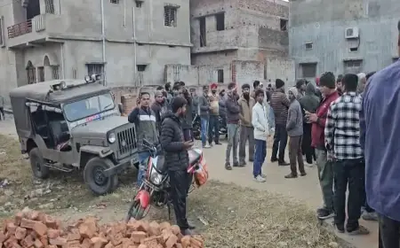 Hazaribagh Blast: खौफनाक धमाका, हजारीबाग में बाड़ी की सफाई के दौरान फटा बम, महिला समेत 3 की मौत, दहल उठा हबीबी नगर