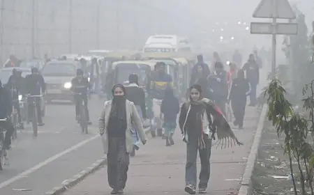 Jharkhand Jharkhand : कांपता झारखंड, गुमला में पारा 0.8 डिग्री पहुंचा, जमशेदपुर में धुंध का कहर, 13 जिलों में शीतलहर का येलो अलर्ट