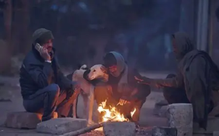 Jharkhand Winter: जमी बर्फ, खूंटी में 2.6 डिग्री का टॉर्चर, कांप रहा है पूरा झारखंड, जानें कब मिलेगी कनकनी से राहत