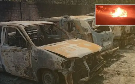 Karandih Arson: रात के अंधेरे में खूनी साजिश, करनडीह के 'कार हॉस्पिटल' में आगजनी, धू-धू कर जलीं 3 गाड़ियां, लाखों का नुकसान