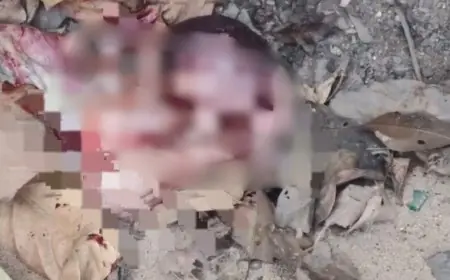 Dhanbad Shocker: कचरे में नवजात, झरिया में मानवता शर्मसार, सड़क किनारे मिला मासूम का शव, कांप उठी लोगों की रूह