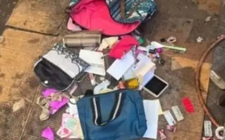 Jugsalai Heist: शादी वाले घर में घुसा यमराज जैसा चोर, मेहमानों की भीड़ के बीच 25 लाख के गहने लेकर हुआ रफूचक्कर, सीसीटीवी फुटेज देख उड़े पुलिस के होश