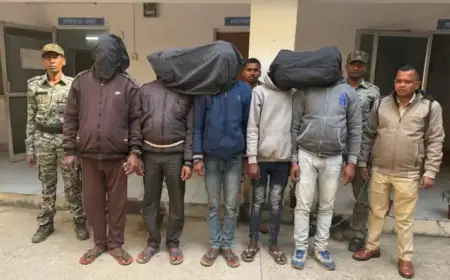 Baharagora Brutality: नीम के पेड़ से बांधकर हेडमास्टर की बेरहमी से पिटाई, बहरागोड़ा में मानवता शर्मसार, पुलिस ने 5 नामजद आरोपियों को दबोचकर भेजा जेल