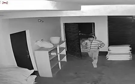 Birsanagar Loot: आटा-दाल और चावल ले उड़े चोर, बिरसानगर में कारोबारी के गोदाम पर दो बार हमला, सीसीटीवी में कैद हुई आधी रात की लाइव चोरी