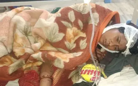 Palamu Murder: ससुराल पहुँचते ही दामाद बना जल्लाद, ससुर की चाकू गोदकर हत्या, बीच-बचाव करने आई पत्नी और साली को भी लहूलुहान कर हुआ फरार