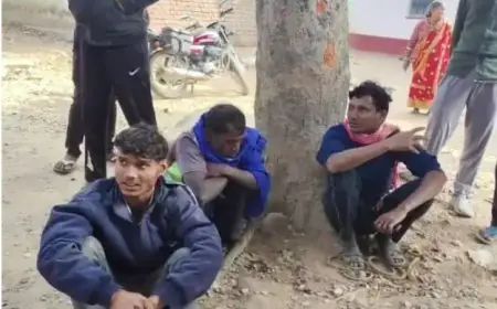 Jamtara Theft: पोसोई में सांड चोरों की शामत, ग्रामीणों ने घेराबंदी कर 3 को दबोचा, मवेशी तस्करी के बड़े गिरोह का पर्दाफाश होने की उम्मीद
