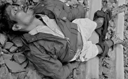 Jamshedpur Accident: टाटा-बादामपहाड़ रेलखंड पर भीषण हादसा, कुदादा के पास ट्रेन से कटकर युवक की मौत, पटरी पर बिखरा मिला क्षत-विक्षत शव