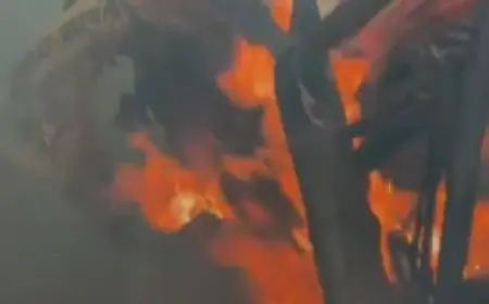 Mango Fire: शॉर्ट सर्किट से दाईगुट्टू में मचा तांडव, उर्मिला देवी का घर जलकर खाक, भीषण आग से लाखों की संपत्ति स्वाहा